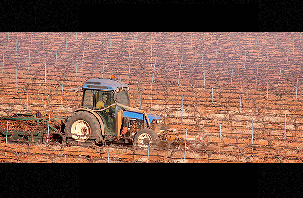 Los peque�os agricultores piden que se actualice la ley de quemas regional
